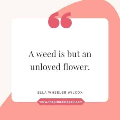A weed is but an unloved flower.