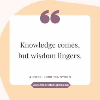 Knowledge comes, but wisdom lingers.